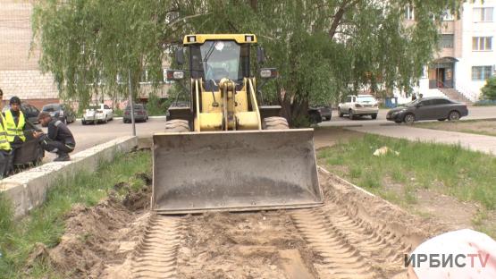 «Мы не согласны»: жители выступают против постройки проезжей части заместо аллеи в Павлодаре